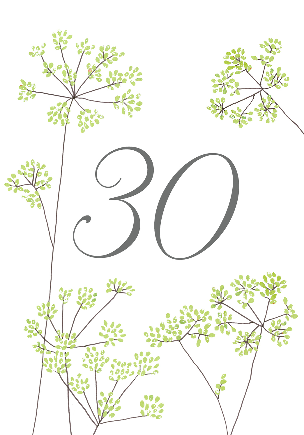 Fennel Thirty Greeting Card Fennel Thirty Greeting Card