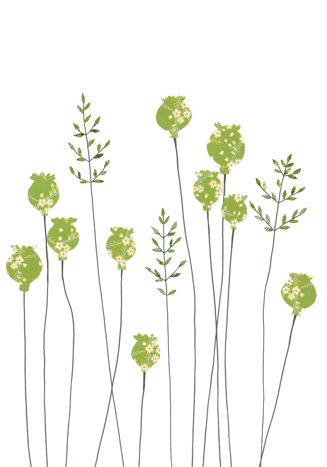 Poppyheads & Grass Greeting Card Poppyheads & Grass Greeting Card