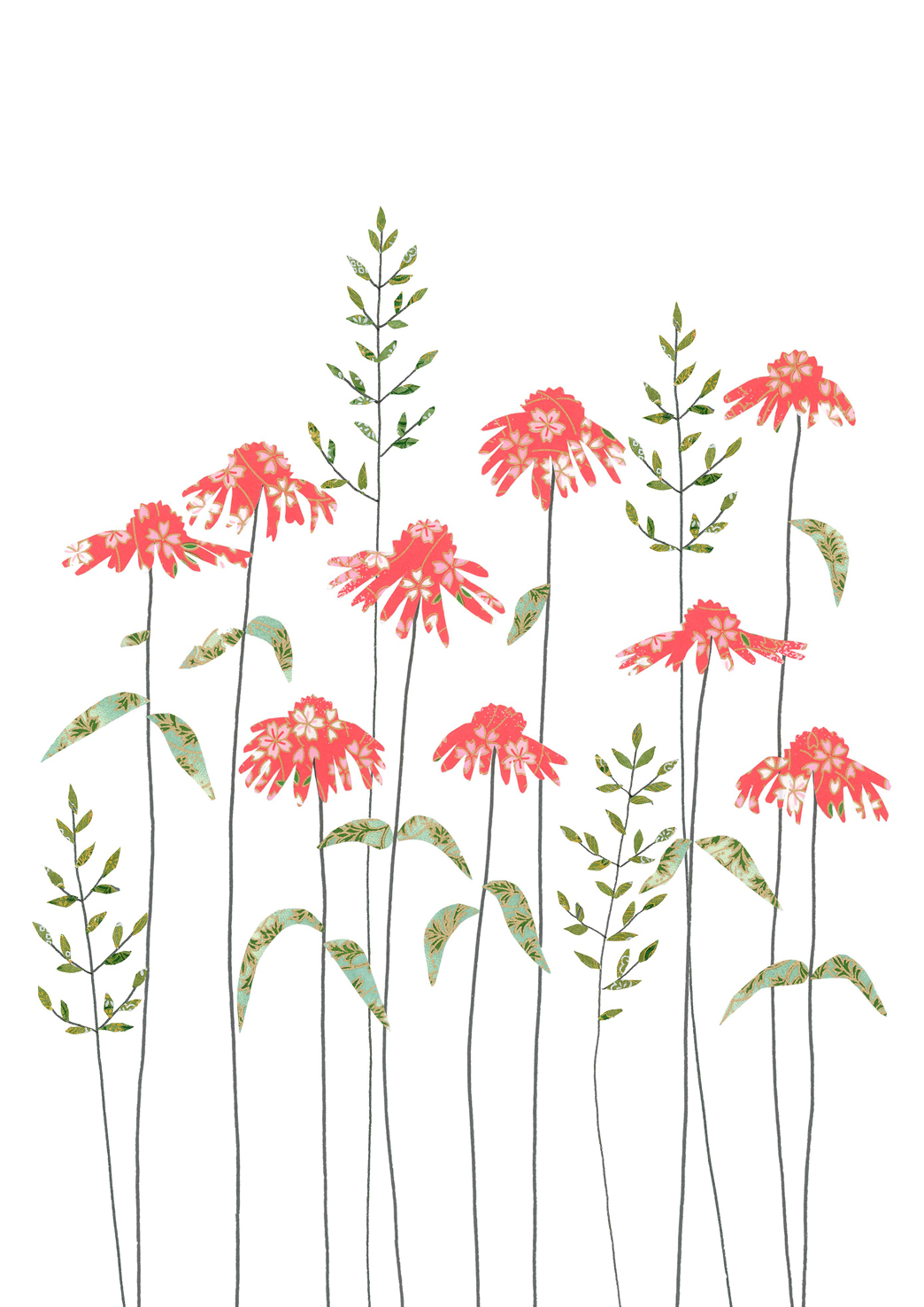 Echinacea Greeting Card Echinacea Greeting Card