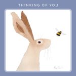 Sympathy & thinking of you cards