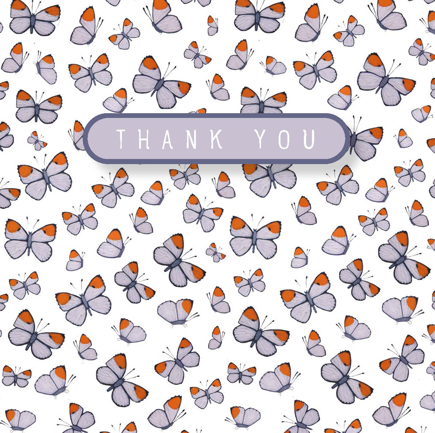 Butterfly thank you mini card Butterfly thank you mini card