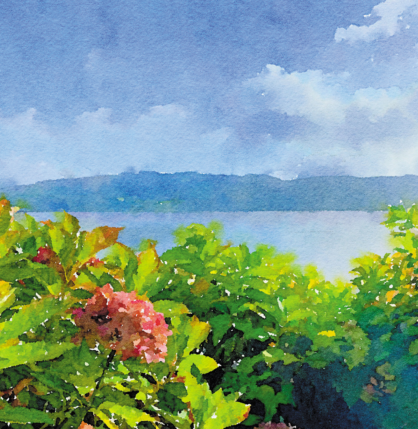Hydrangea view mini card Hydrangea view mini card